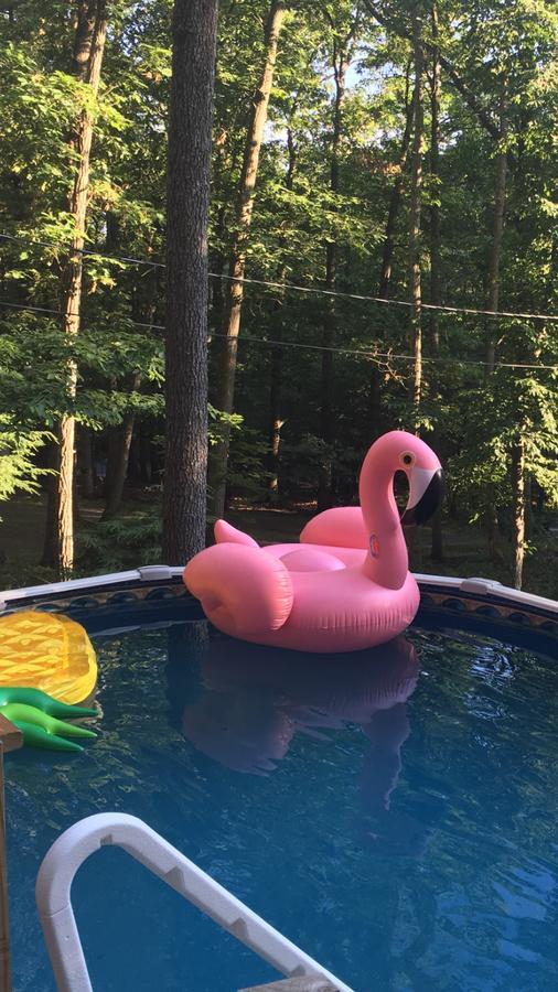 Pocono Cabin With Private Pool At Shawnee Mtn Восток Страудсберг Экстерьер фото